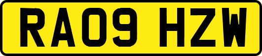 RA09HZW