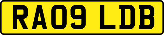 RA09LDB