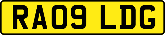 RA09LDG