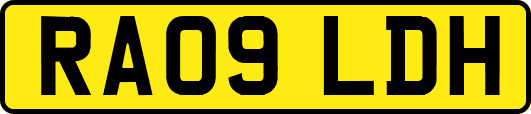 RA09LDH