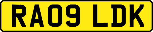 RA09LDK