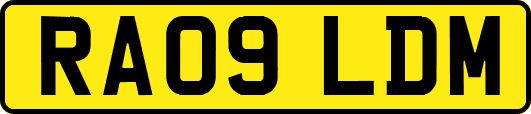 RA09LDM
