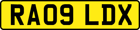 RA09LDX