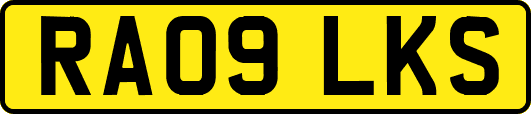 RA09LKS
