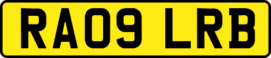 RA09LRB