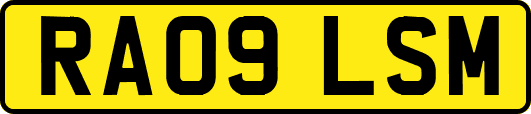 RA09LSM