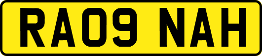 RA09NAH