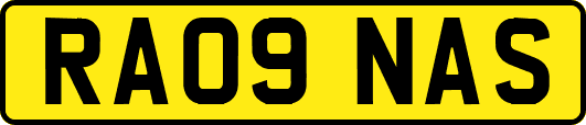 RA09NAS