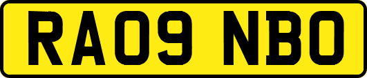 RA09NBO