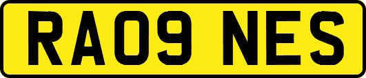 RA09NES