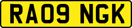 RA09NGK