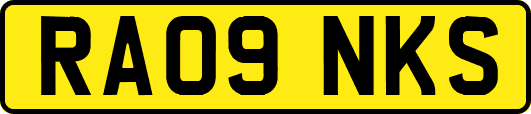 RA09NKS