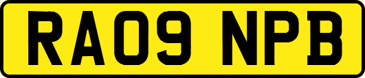 RA09NPB
