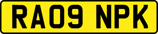 RA09NPK
