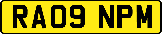 RA09NPM