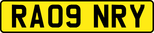 RA09NRY