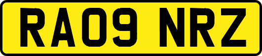 RA09NRZ
