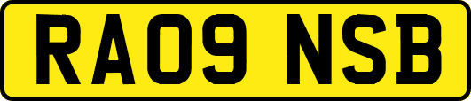 RA09NSB