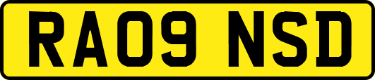 RA09NSD
