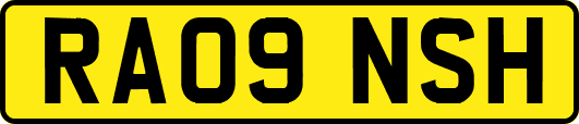 RA09NSH