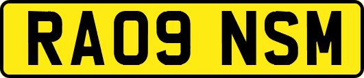 RA09NSM
