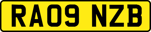 RA09NZB