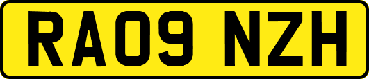 RA09NZH