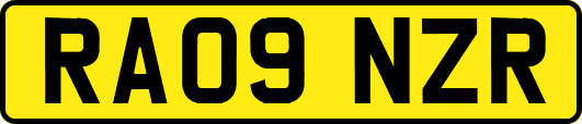 RA09NZR