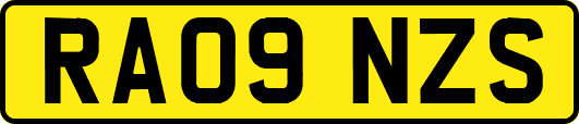 RA09NZS