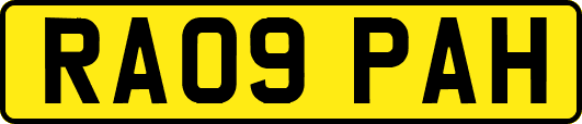 RA09PAH