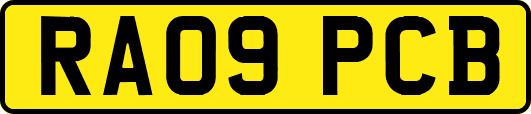 RA09PCB