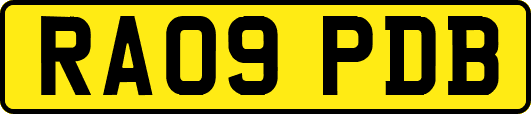 RA09PDB