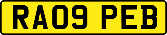 RA09PEB