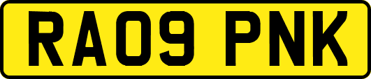 RA09PNK
