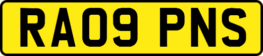 RA09PNS