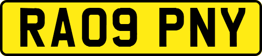 RA09PNY