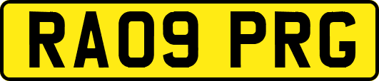 RA09PRG