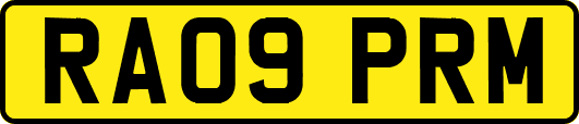 RA09PRM
