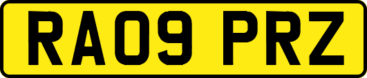 RA09PRZ