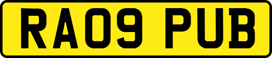 RA09PUB