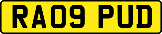 RA09PUD