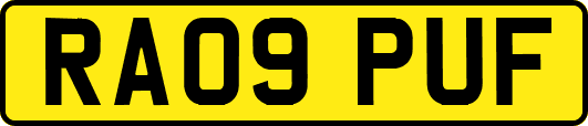 RA09PUF