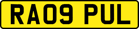 RA09PUL