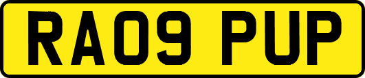 RA09PUP