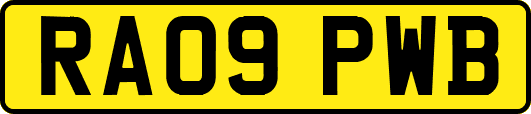 RA09PWB