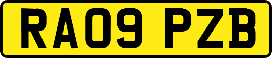 RA09PZB