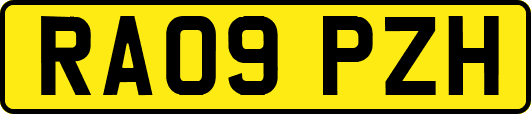 RA09PZH