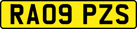 RA09PZS