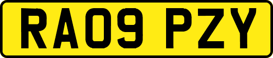 RA09PZY