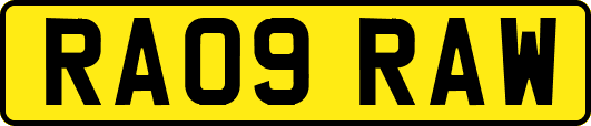 RA09RAW